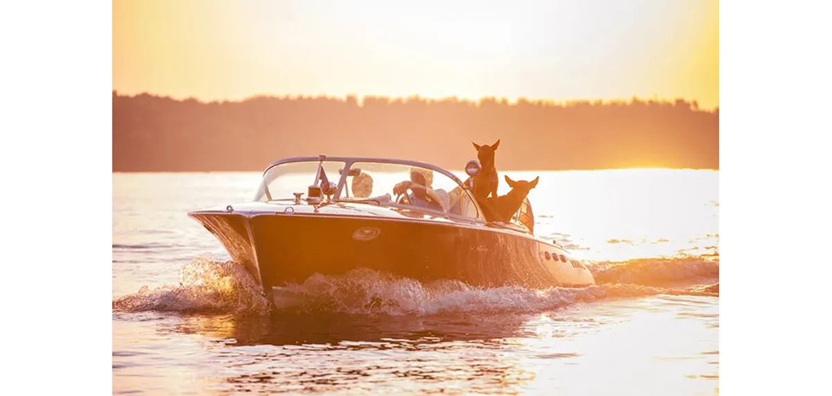 Riva Ariston на закате